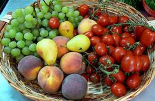 Panier de fruits et l�gumes toscans